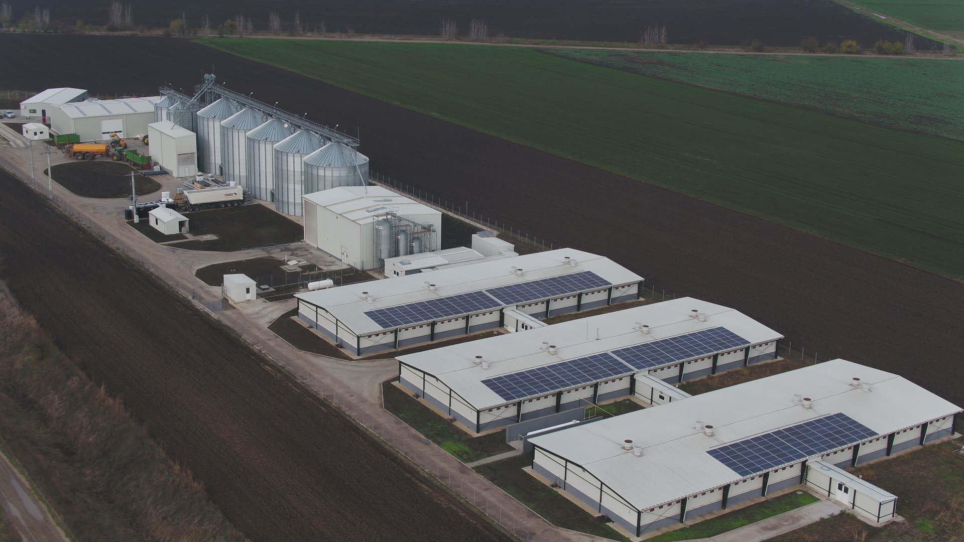 Agronicolescu - Complex de creșterea porcilor / Fermă reproducere suine