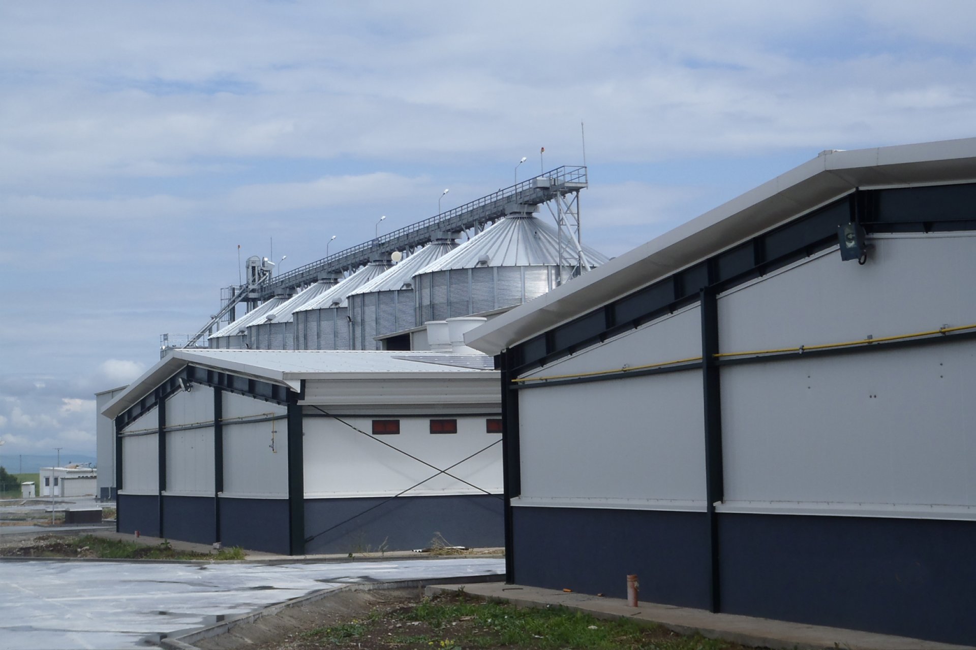 Agronicolescu - Complex de creșterea porcilor / Fermă reproducere suine