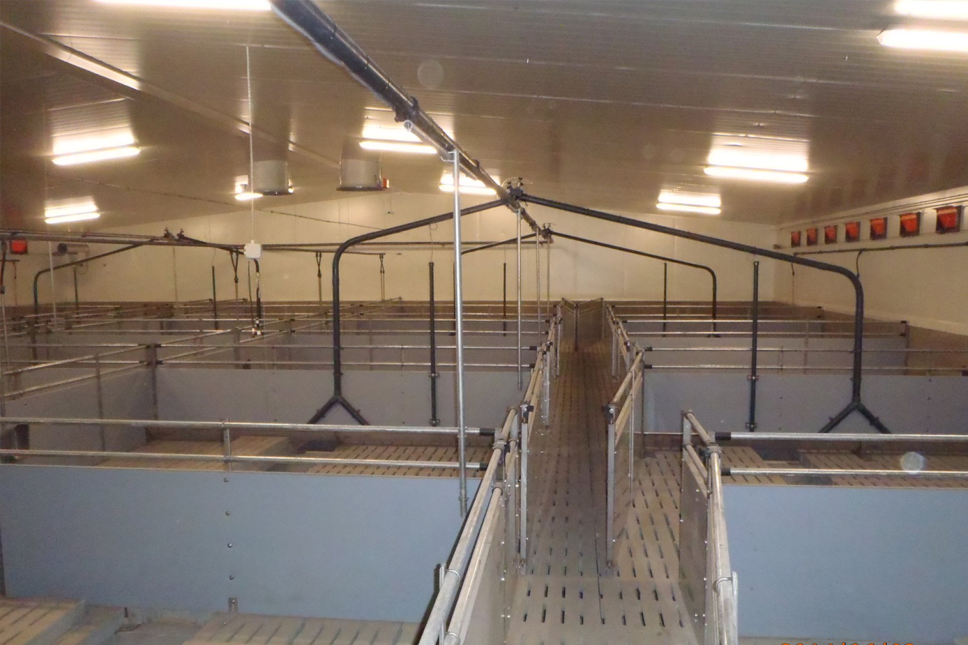 Agronicolescu - Complex de creșterea porcilor / Fermă reproducere suine