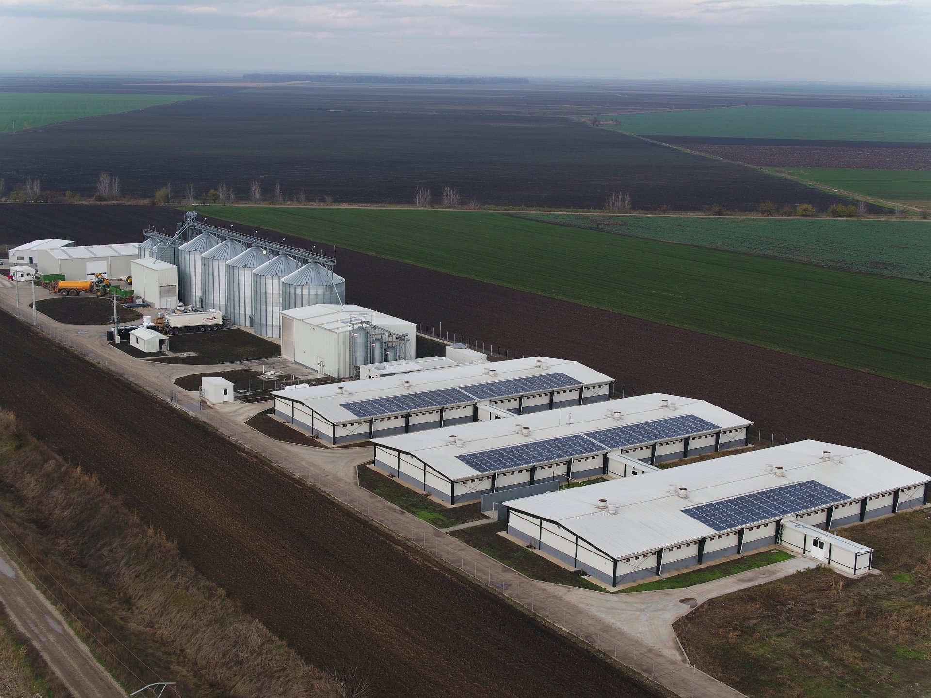 Agronicolescu - Complex de creșterea porcilor / Fermă reproducere suine