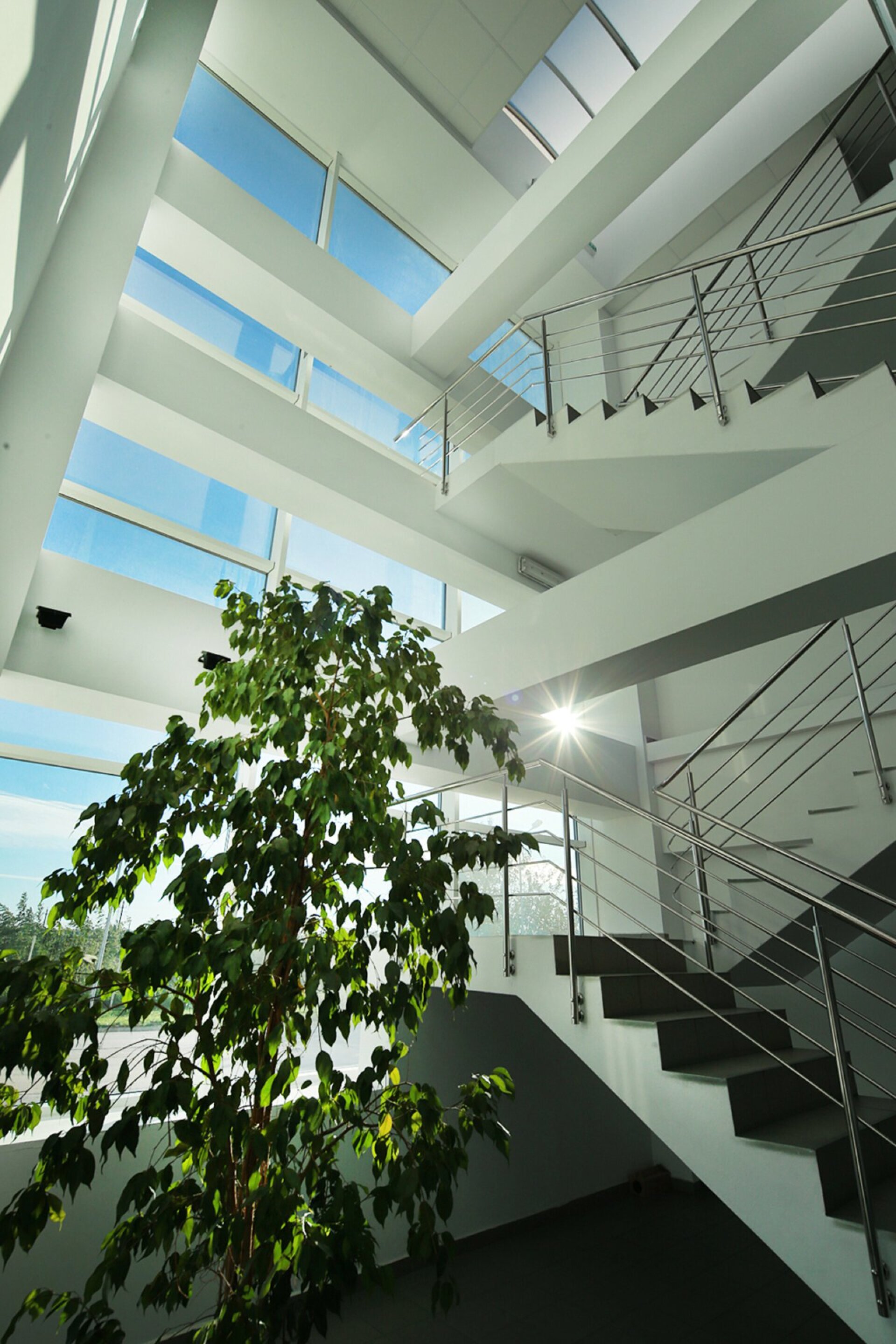 Atrium of the Romcolor Copaceni administrative building and laboratory with a metal staircase, skylight and green plant, PPAE project